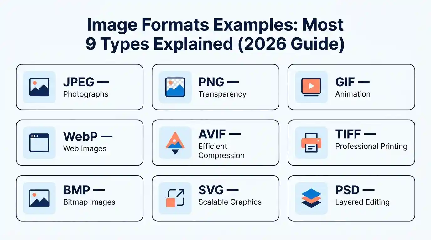 Examples of nine image formats including JPEG, PNG, GIF, WebP, AVIF, TIFF, BMP, SVG and PSD