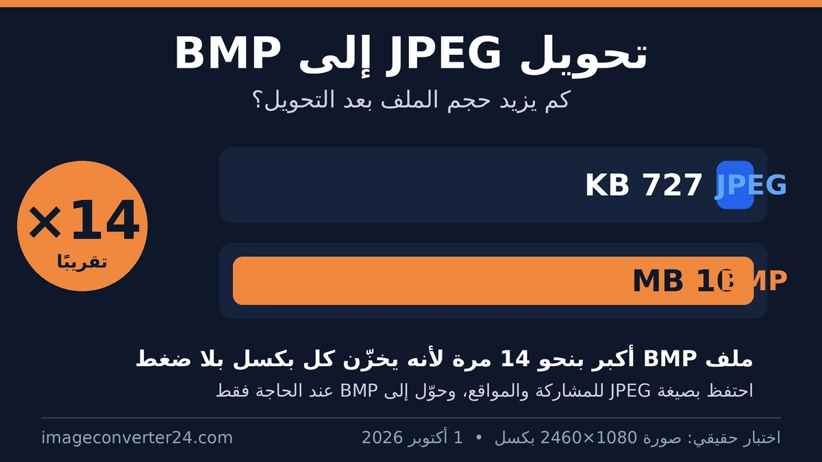 مقارنة حجم الملف: صورة JPEG بحجم 727 KB أصبحت BMP بحجم 10 MB، أي أكبر بنحو 14 مرة